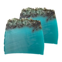 LUSH 러쉬 씨베지터블 SEA VEGETABLE 500g 2개