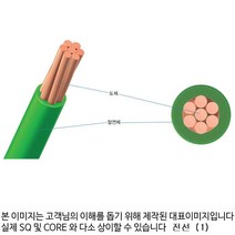 전선 TFR GV 6SQ M단위판매 130409전선 조명 부자재 인테리어 인테리어용품, M단위판매 E100075