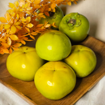 [명인단감] 20년 명인 태추 단감 김해 진영 5kg 중대과 대과 특과, 5kg중대과(21~23과), 1개