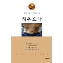 치유요가:요가철학 박사가 알려준 수행법, 이룸나무, 이형록 저