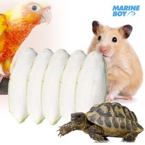 국내산 갑오징어뼈 앵무새모이 거북이 알막힘 앵무새부리강화, 130g(뼈)