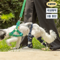 케어즈 강아지 슬개골 비절 탈구 보호대 산책밴드, 슬개골 S, 클래식네이비