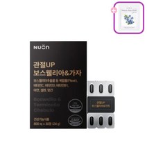 뉴온 관절UP 보스웰리아 & 가자 800mg*30정+블루베리1팩, 1박스+사은품, 1개