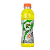 칠성 갈증해소 아미노산 게토레이 레몬 페트 스포츠음료 이온음료 600ML 20개, 29세트