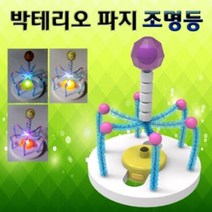 박테리오 파지 조명등 만들기 (5인용) 단어 가르치기 한글 낱말 카드 어린이집 유치원 초등 학교 학생 학습 교구 홈스쿨