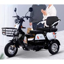 3발오토바이 전기 성인용 세발 스쿠터 바이크, (화이트)48V + 20a 48V