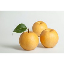 기린 22년 GAP 저탄소 고당도 프리미엄 가정용 나주배, 가정용 중과 5kg(10과~16과), 1개