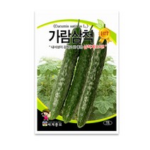 모칸도 세계 가람삼척 오이씨앗 50립, 1개