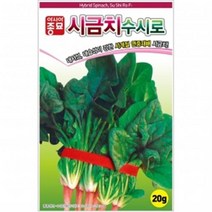 (시금치종자씨앗) 수시로시금치(400g), 1개