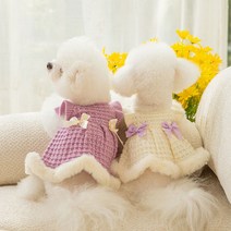 Neirny 강아지 니트 리본 원피스 큐티 귀여움 청순 러브리 기모 있는 가을 겨울 애견 고양이 반려 동물 옷, 퍼플