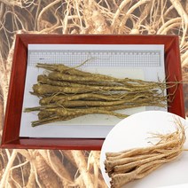 청정 영주소백산도라지 세척/깐/흙도라지 산지직송, 1팩, 흙도라지-나물용_상품2kg