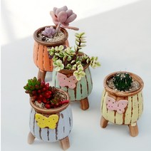 하늘정원 리본 다육화분 4종세트