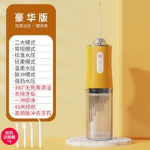 구강세척기 물치실 휴대용 구강 세정기 워터 제트 치아 세척기 3 모드 클리너, 02 3position-4nozzle