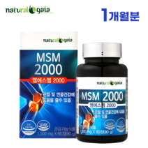 가이아 엠에스엠 MSM 2000 60정 1개월분 식약처 인증 식이유황 연골 무릎 관절에 좋은 영양제, 1병
