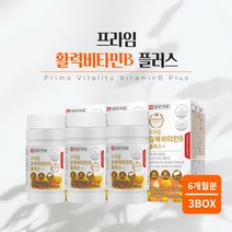 힘 기운 없을때 지칠때 육체 피로 체력 저하 조혈 에너지 필요할때 에 좋은 먹는 프리미엄 비타민 비 복합체 영양제 남성 여성 중년 장년, 3BOX(6개월분)