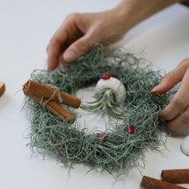 내손으로 만드는 시들지않는 수염 틸란드시아 리스 만들기 DIY 키트, 틸란드시아리스만들기diy