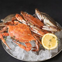 자연맛남 연평도 알배기 암꽃게 키로별, 02.연평도 알배기 암꽃게 2kg, 2kg, 1개