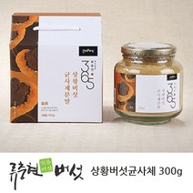 류충현약용버섯 상황버섯균사체 분말 가루 파우더 목질진흙 상황버섯 차 물 국내산, 300g, 1병