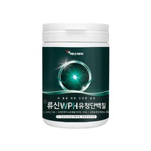 온가족 류신 WPH유청 프리미엄 단백질280g 영양밸런스가 필요한 남녀노소, 280g, 1개