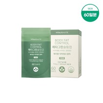 바이탈뷰티 메타그린 슬림업 리필용 60일 (420mg x 180정), 단품