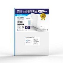 인터탑 플랜파일 쫄대화일 레일홀더 고투명 A4 A3 군자형, 인터탑 명함 쫄대파일 일반형(30개입), 1팩