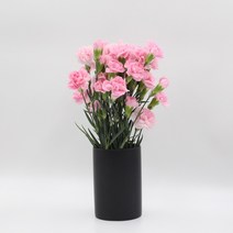 미니 카네이션 (스프레이) 모음 꽃정기구독 생화택배 (고속터미널꽃시장 직배송) 꽃예꽃, 연핑크, 비슷한 느낌의 꽃으로 변경(다른꽃or다른색), 금~일요일 구매시 (화요일 도착)