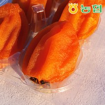 [농협] 자연건조 장성 대봉 반건시 곶감, 로얄과 20입, 1개