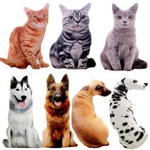 고양이 강아지 모양 쿠션 반려동물 사진 그림 인형 3D 실사 침대 소파 틈새 막이 조세호, 2-4. 허스키