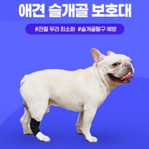 강아지탈골 슬개골탈구 슬개골 보호대 재활 강아지다리보호대, XL