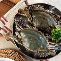 산지직송!!] 직접잡는 서천 가을 숫 꽃게1kg(3~5미), 5kg