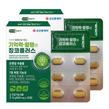고함량 징코 플러스 기억력 혈액순환 혈행 도움 약1개월 뇌 두뇌 손발 다리 영양제 에 좋은 은행잎추출물 메디 빌로바 부모님 감퇴 식약청 식약처 청소 여성 남성 도레미잡화점 사은품, 30정_2박스_2개월분+도레미잡화점 사은품