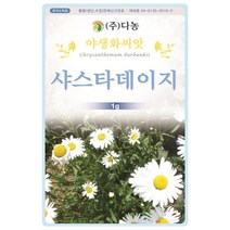 벌개미취 300립 - 야생화 씨앗 꽃씨 씨 꽃씨앗 벌개미취씨앗 벌개미취씨 다년생 여러해살이 야생화씨 야생화씨앗 꽃, 30_다농_샤스타데이지(1g)
