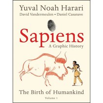 Sapiens: A Graphic History Volume 1:The Birth of Humankind, Harper Perennial