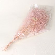 화연양화 프리저브드 안개꽃 한단 미니안개 꽃다발 드라이플라워, 02 페일핑크