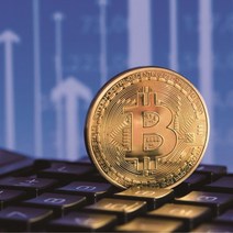 비트코인 기념주화 가상화폐 모형 동전 희귀주화 주화선물 동전수집 특이한동전 가상화페 수집용