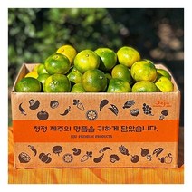 제주돌담 새콤달콤 조생감귤 4.5kg 로얄과