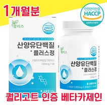 네덜란드 산양유 단백질 해썹 사양유 산야유 상양유 60% 베타 미셀라 카제인 담백질 분리 유청 단백 WPI 고함량 고순도 프로틴 프로테인 유청 칼슘 BCAA 퀄리고트 알약 물과함께, 1개월분 - 다니마켓