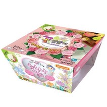 도너랜드 천사점토 꽃만들기 70g 케이스