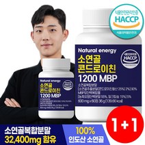 웰핏 콘드로이친 1200 MBP, 60정, 2개