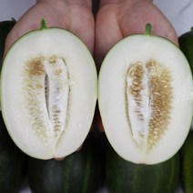 고령 메론 산지직송 파파야멜론 파파야메론 2kg 3kg 5kg 후숙없이먹는메론, 푸띠 고령 파파야메론 3k 5-9개입