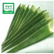 식용알로에 유기농알로에 베라(특품) 5kg 생알로에 알로에농장 먹는알로에, 알로에베라10kg
