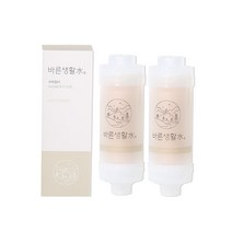 바른생활수 녹물 염소 제거 비타민 샤워필터, 2개, 베이비파우더