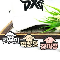 경남자수 주문제작 볼마커 볼마크 볼마킹 골프용품 필드용품 케이스포함, 6.화살표타입(실버)