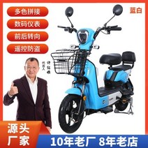 접이식 전동자전거 전기자전거 배달 렌탈 키트 폴딩 전기 성인 48v 이륜 2 인용 배터리 스쿠터 자전거, Double 색상 blue+48v20a Lead aci