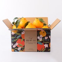 제주 한라봉 벌크, 1box, 4.5kg 10-15과 대과