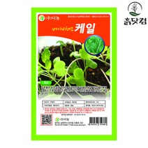 베이비 케일 씨앗 10g 진녹색 베이비채소 종자 + 네임택, 단품