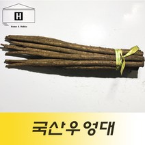 국산우엉대 국산피우엉 1kg 대상 상 중 우엉차 우엉조림