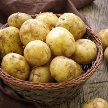 [자연맛남] 제주직송 포슬포슬 노지감자 5kg (중)
