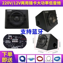 자동차스피커 우퍼 오디오 10인치 트렁크 바닥우퍼, 10인치 220V/12V 카드 블루투스 _단일 스피커