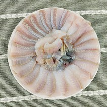 더조은 흑산도 전통 홍어 3 4인분 500g 홍어 애 초장 증정, 02. 중수단계